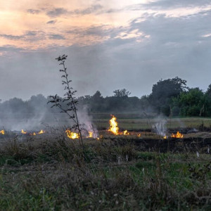 Во Владимирской области пожары за сутки выжгли 3 гектара травы