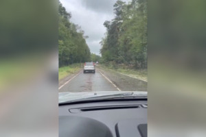 Трассу до Мурома после урагана сравнили с апокалипсисом: появилось видео