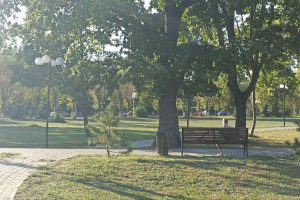 Во Владимире начали сбор заявок на ремонт дворов в 2025 году