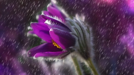 Мощный ливень с грозой обрушится на Владимир