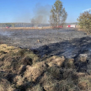 В Камешковском районе огонь охватил 25 га травы
