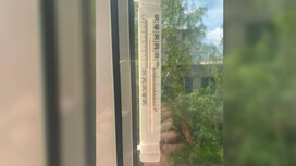 Жара во Владимире 2 июля побила 60-летний температурный рекорд