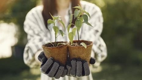 Жители Владимирской области снова примут участие в акции «Сад Памяти»