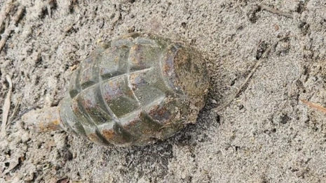 Спецслужбы съехались к двухэтажке в Гусь-Хрустальном из-за сообщения о гранате