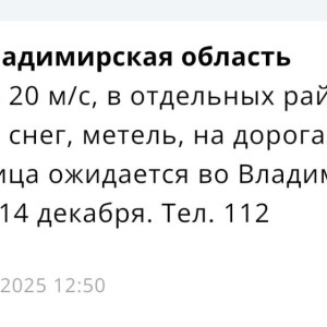 Во Владимирской области спрогнозировали метель 14 декабря