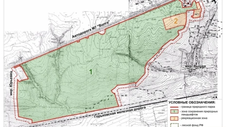 Проект дороги через парк «Дружба» во Владимире вынесли на общественные слушания