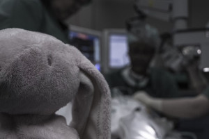 Во Владимирской области 76 детей с редкими болезнями стали подопечными фонда  «Круг добра»