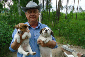 В Гусь-Хрустальном 200 животных из частного приюта оказались под угрозой остаться на улице