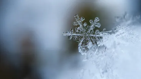 Синоптики спрогнозировали снег и похолодание до -10 во Владимире