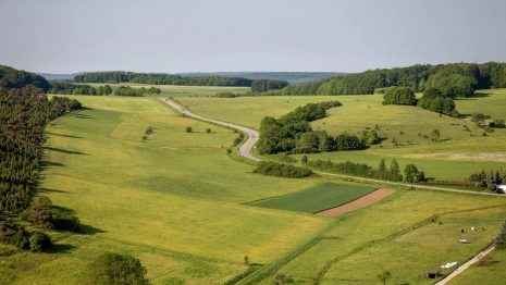 Многодетная семья из Владимирской области получила участок без коммуникаций