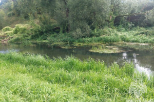 В Александрове в реке Серая утонул 67-летний мужчина