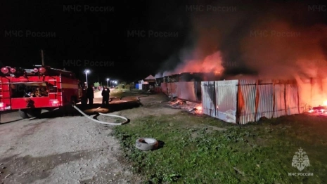 В Гусь-Хрустальном пожар унес жизни отца и сына