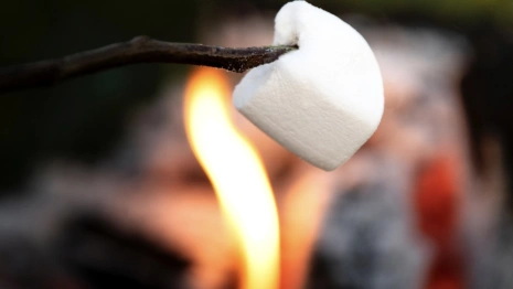 В Свердловской области дети пожарили зефир на Вечном огне