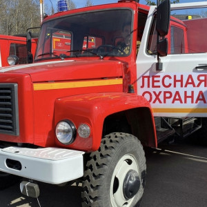 Во Владимирской области спрогнозировали ранний лесопожарный сезон