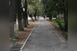 В райцентре Владимирской области у школы появился новый тротуар 
