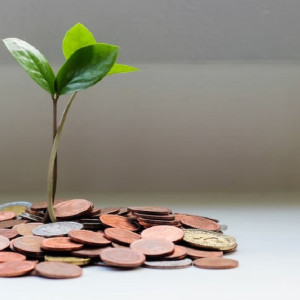 Губернатор назвал госдолг Владимирской области одним из самых низких по стране