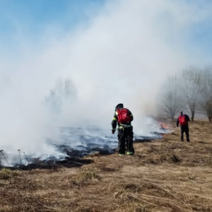 Во Владимирской области пожарные спасли две деревни