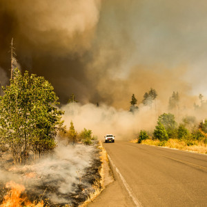 Во Владимирской области площадь горящего торфяника достигла 4 га