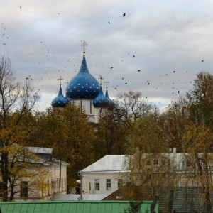 Трассу на Суздаль перекроют из-за монтажа рамных опор