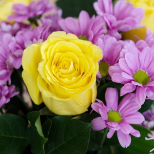 Во Владимирской области 16-летняя девушка и 85-летняя бабушка стали невестами в 2023 