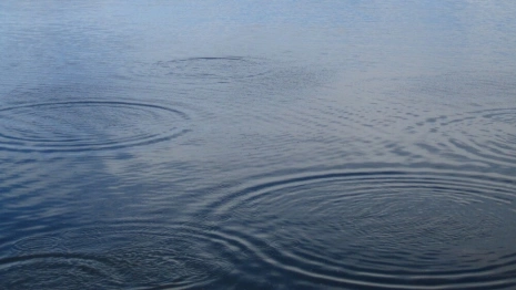 В Коврове у официального пляжа утонул человек