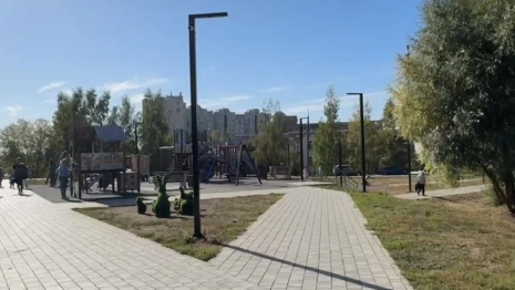 В сквере на Сперанского во Владимире появятся 9 бетонных арт-объектов для высадки деревьев