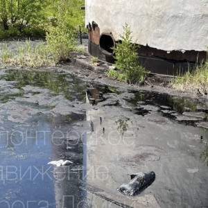 В Муроме огородили территорию котельной с разлившимся мазутом