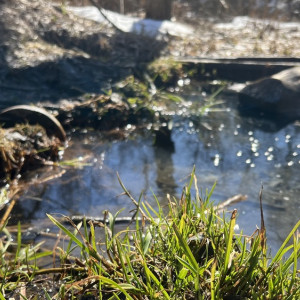 Во Владимире вместе с парком у ДТЮ благоустроят родник на Мира