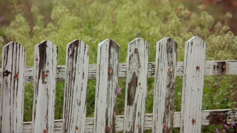 Житель Владимирской области вырастил в деревне 5 кг конопли 