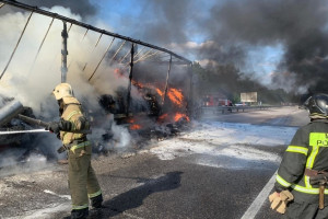Стали известны подробности ДТП с пожаром на трассе под Гороховцом