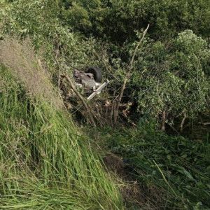 Иномарка улетела в кювет и перевернулась в Киржачском районе: пассажир погиб