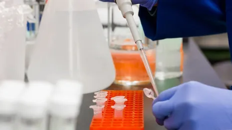 Число заболевших COVID-19 во Владимирской области выросло после выходных 