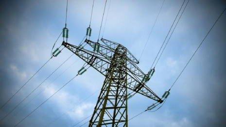 Во Владимирской области решили бороться с авариями на ЛЭП за счет вырубки леса