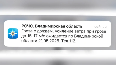МЧС предупредило жителей Владимирской области о дожде с грозой и сильном ветре