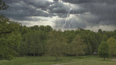 МЧС предупредило жителей Владимирской области о ливне с градом и заморозках