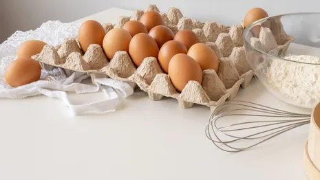 Путин назвал причину роста цен на яйца