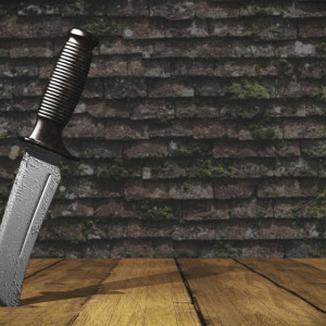 Жительница Струнино зарезала брата из-за пьяных тусовок в родительской квартире