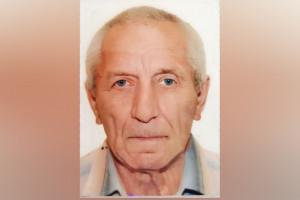 Во Владимирской области пропал 73-летний дедушка