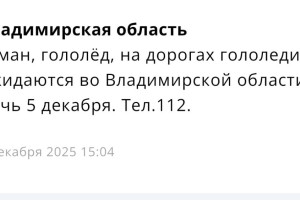 МЧС предупредило жителей Владимирской области о гололедице ночью 5 декабря