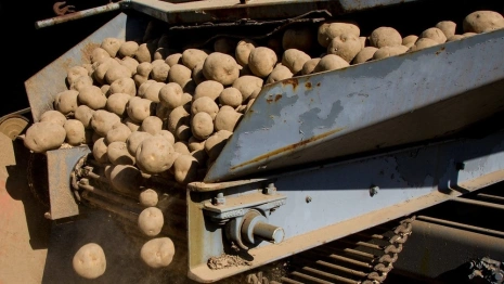 Во Владимирской области фермер рассчитался с работником картофелехранилищем 