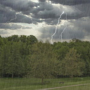 МЧС предупредило жителей Владимирской области о ливне с градом и заморозках