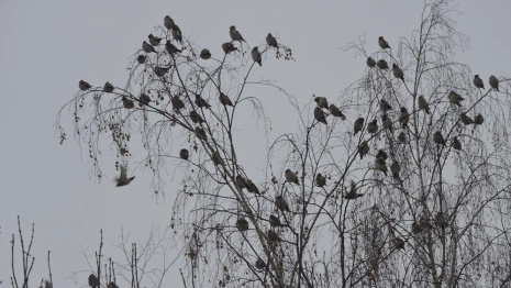 29 день Великого поста: что можно и нельзя 15 апреля