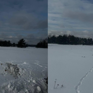 В Гусь-Хрустальном районе женщина испугалась следов животных у дома