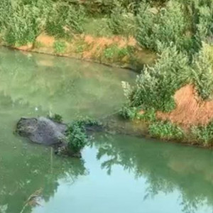 Жители поселка во Владимирской области 5 лет задыхаются из-за зловонных озер