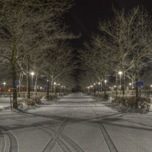 Во Владимире повесят 328 новых уличных фонарей
