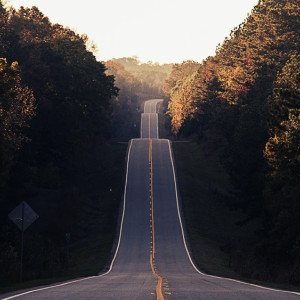 В 14 районах Владимирской области отремонтируют дороги