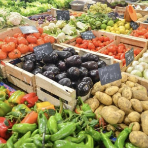 Уличная торговля может вернуться на улицы Красноармейскую и Егорова во Владимире