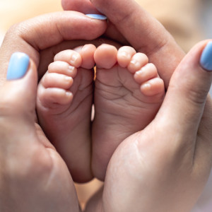 Во Владимирской области в феврале появилась на свет тройня