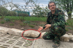 Древний артефакт с клумбы Боголюбовского монастыря забрали музейщики