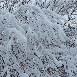 Прогноз погоды во Владимире и области на 28 декабря